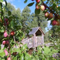 BRIARDALE COMMUNITY CENTRE avatar image